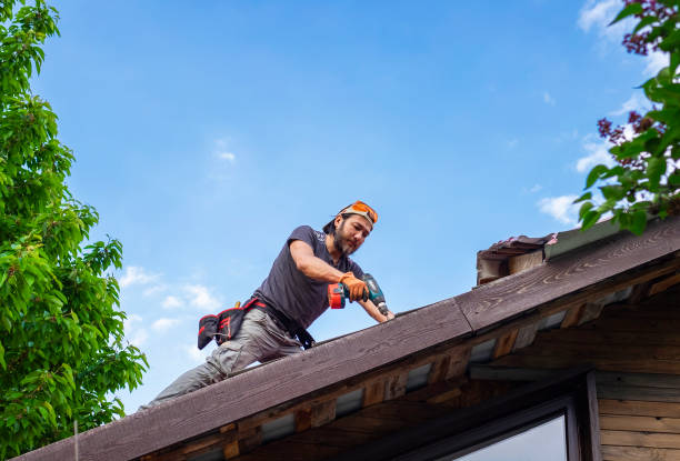 Best Hot Roofs  in Tipton, IA