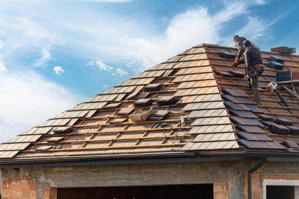 Best Sheet Metal Roofing  in Tipton, IA